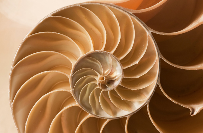 Fractal Geometry Is Born