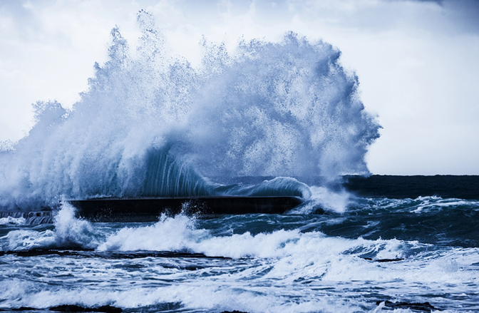 A Species Defined By Our Differences