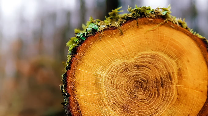 The First 100 Years Are the Toughest