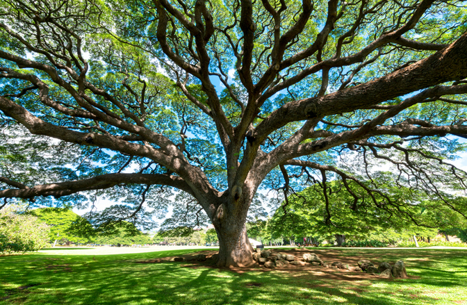 A Turning Point Of Hope